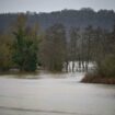 Marc-André Selosse, biologiste : « Face aux inondations et aux sécheresses, nos sols sont une solution »