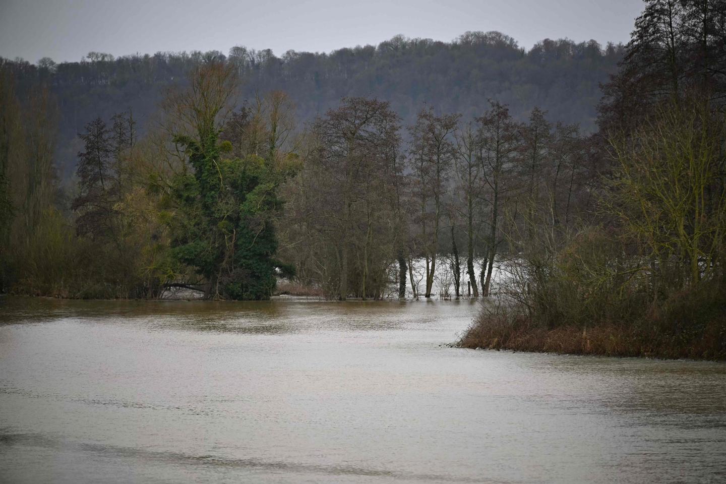 Marc-André Selosse, biologiste : « Face aux inondations et aux sécheresses, nos sols sont une solution »