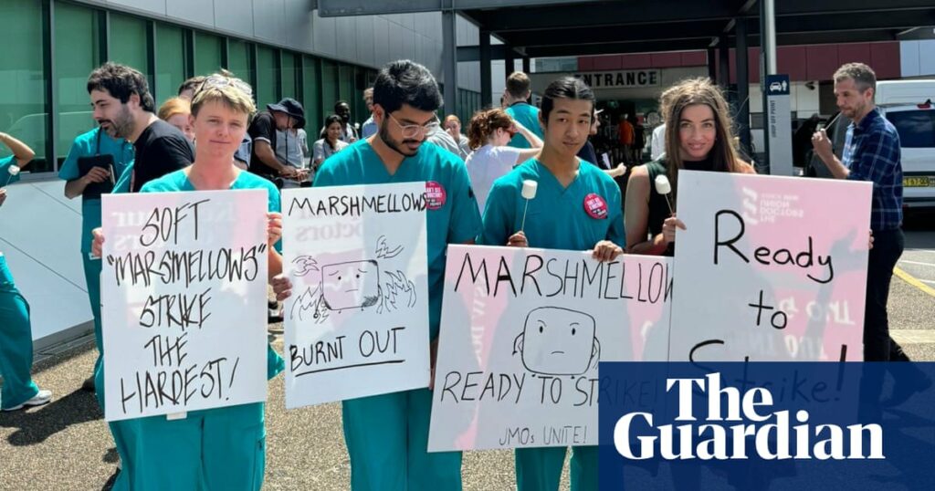 NSW doctors embrace ‘marshmellow’ moniker to highlight ‘catastrophic situation’ in public hospitals