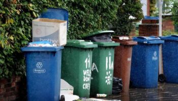 New bin rules mean everyone in England will have four different bins