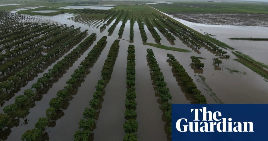 North Queensland flood waters set to peak as Herbert River predicted to reach record levels