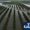 North Queensland flood waters set to peak as Herbert River predicted to reach record levels