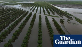 North Queensland flood waters set to peak as Herbert River predicted to reach record levels