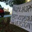 « Nous nous battrons jusqu’au bout » : deux villages en lutte contre la première ferme agrivoltaïque de l’Oise