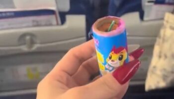 Plane horror as passenger finds firecracker hidden underneath seat during flight