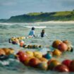 « Plastic Odyssey. Mission Pacifique », sur Canal+ : escale sur l’île Henderson, la plus polluée aux plastiques au monde