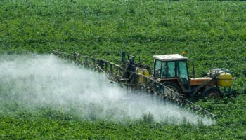 « Plutôt que de réautoriser les néonicotinoïdes, la France devrait encourager une interdiction de ces substances à l’échelle européenne »