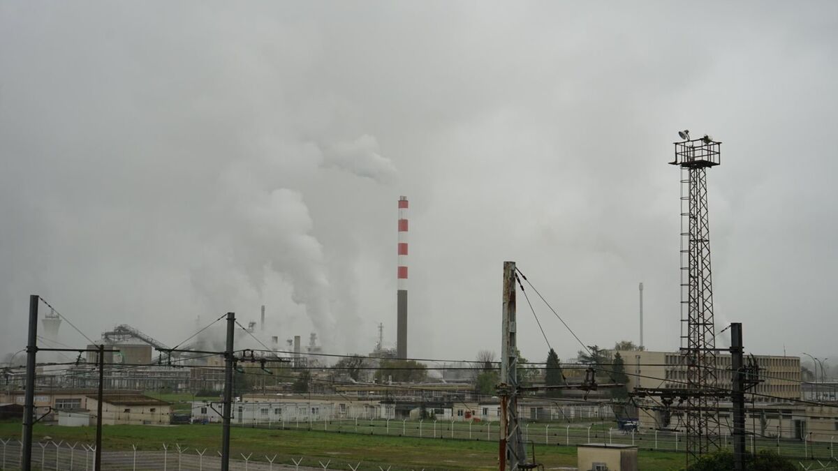 Projet d’usine géante à Lacq : les biocarburants vont-ils menacer les forêts ?