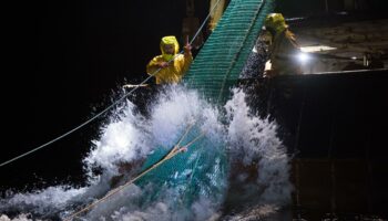 Protection des océans : Emmanuel Macron rappelé à ses ambitions, avant le sommet de Nice en juin