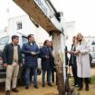 Proyecto Hislas: las nuevas zonas verdes para el Casco de Córdoba arrancan en el Cine Andalucía