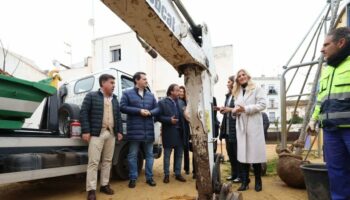 Proyecto Hislas: las nuevas zonas verdes para el Casco de Córdoba arrancan en el Cine Andalucía