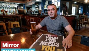 Pub landlord warns Brits could 'lose them forever' unless Government acts fast