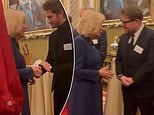 Queen Camilla beams as she meets A-listers Cate Blanchett, Andrew Garfield and Prince Harry's pal James Corden at glittering Buckingham Palace reception