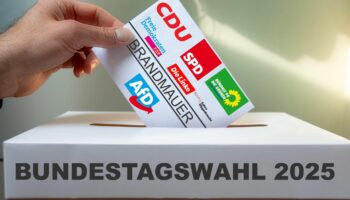 RTL-Trendbarometer: Die Linke "legt Schlussspurt hin" – FDP wieder auf dem aufsteigenden Ast