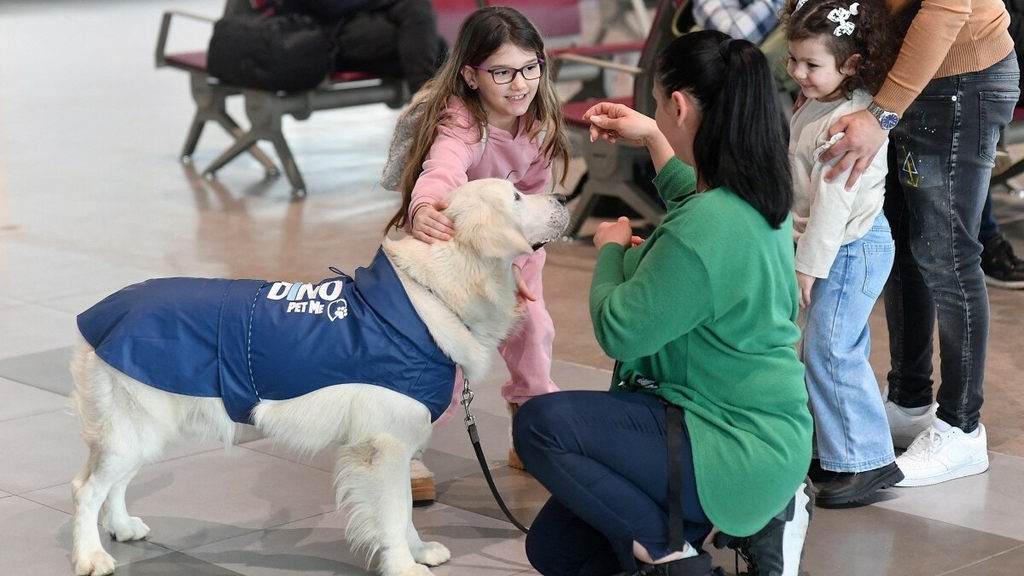 Réconfort poilu: Peur de l'avion ? Cet aéroport a tout prévu ... même un chien !