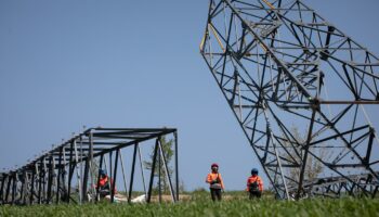 Réduire l’impact environnemental et paysager du réseau électrique français, un enjeu majeur