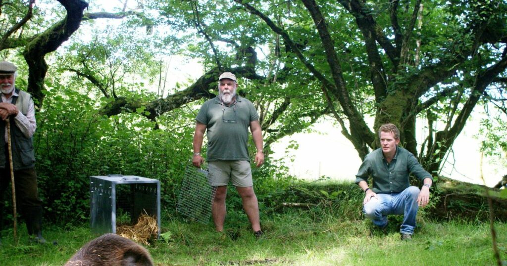 Son of famous explorer accuses neighbours of 'kidnapping' his beavers