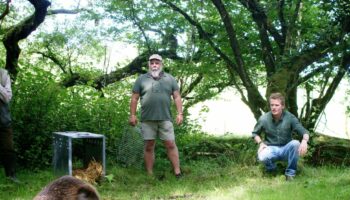 Son of famous explorer accuses neighbours of 'kidnapping' his beavers