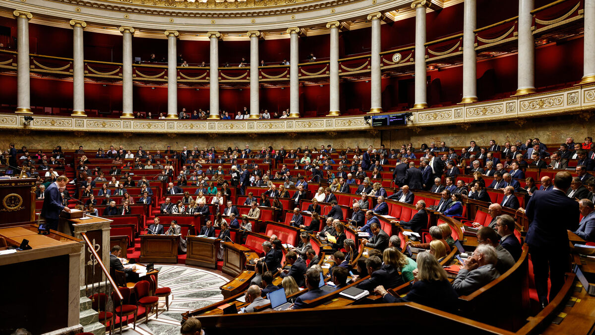 « Stopper l’attractivité » : que contient la réforme du droit du sol à Mayotte votée par l’Assemblée nationale ?