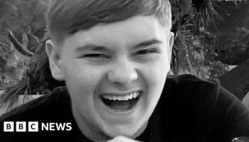 Teen appears in court over Harvey Willgoose murder