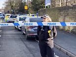 Teenager, 14, is arrested after boy, 15, is stabbed at secondary school in Sheffield