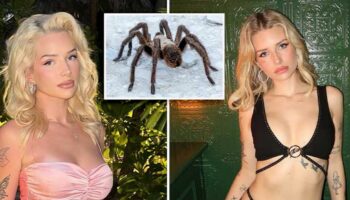 Terrified Lottie Moss shares her five haunting fears on Netflix jungle show with Holly