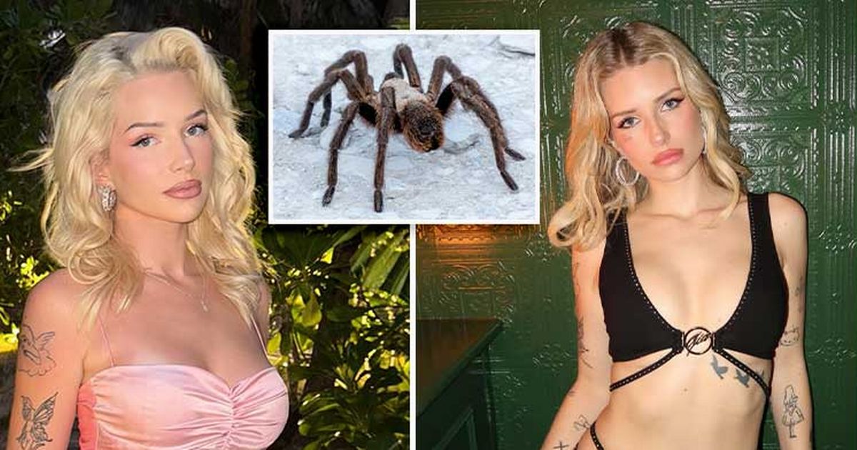 Terrified Lottie Moss shares her five haunting fears on Netflix jungle show with Holly