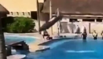 Tragic moment dolphin leaps to its death in front of families at infamous resort