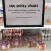 US: Police search for thieves who stole 100,000 eggs amid shortage