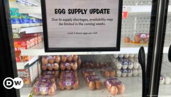 US: Police search for thieves who stole 100,000 eggs amid shortage