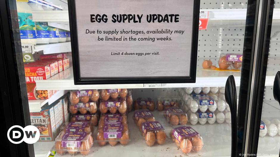 US: Police search for thieves who stole 100,000 eggs amid shortage