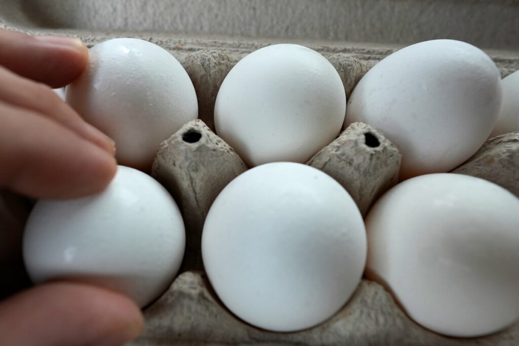 US egg prices hit record high – and there’s worse to come