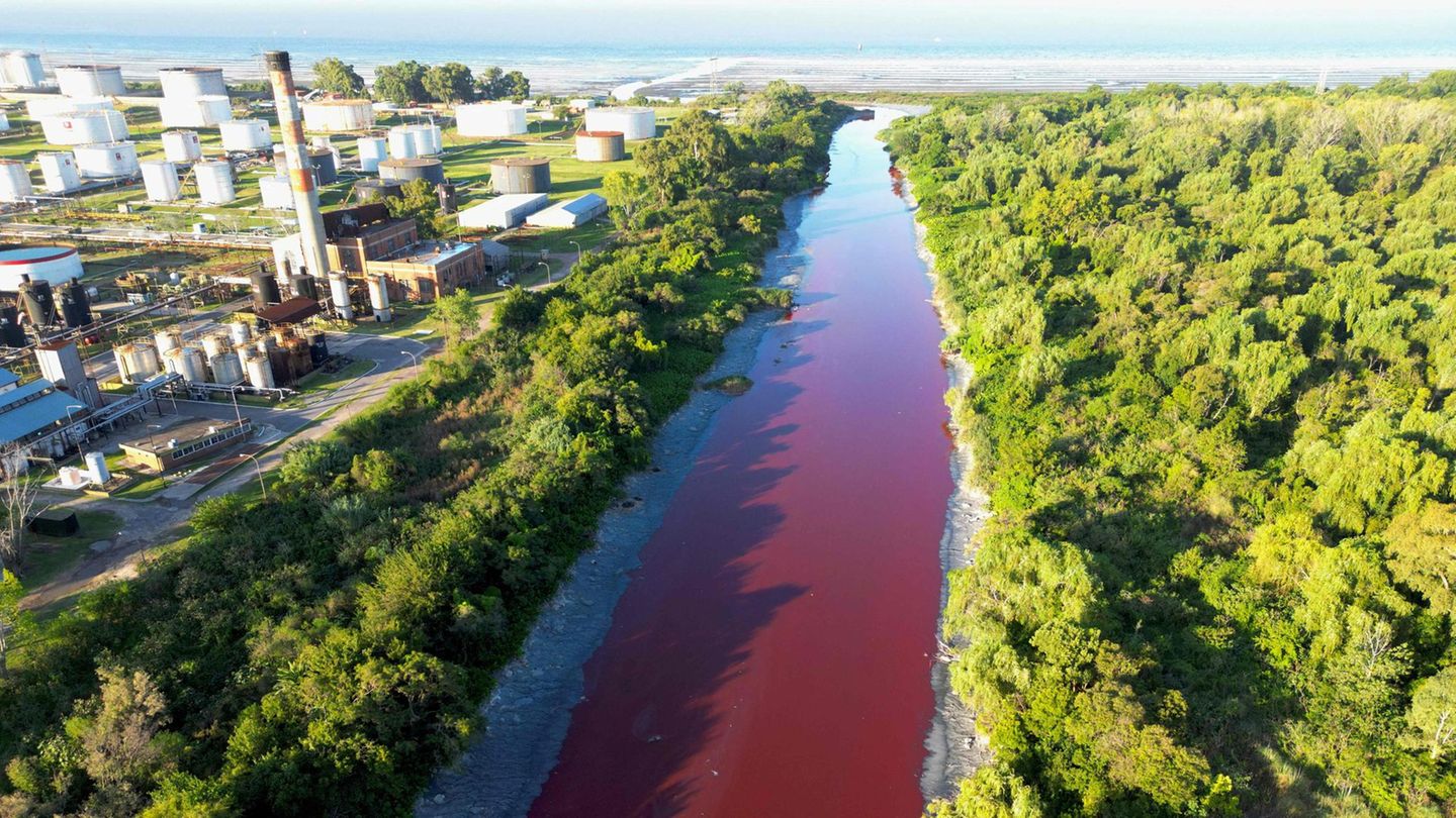 Umweltverschmutzung?: Fluss bei Buenos Aires plötzlich blutrot gefärbt