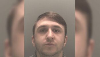 Vile abuser 'punched girlfriend in face' hours after giving birth