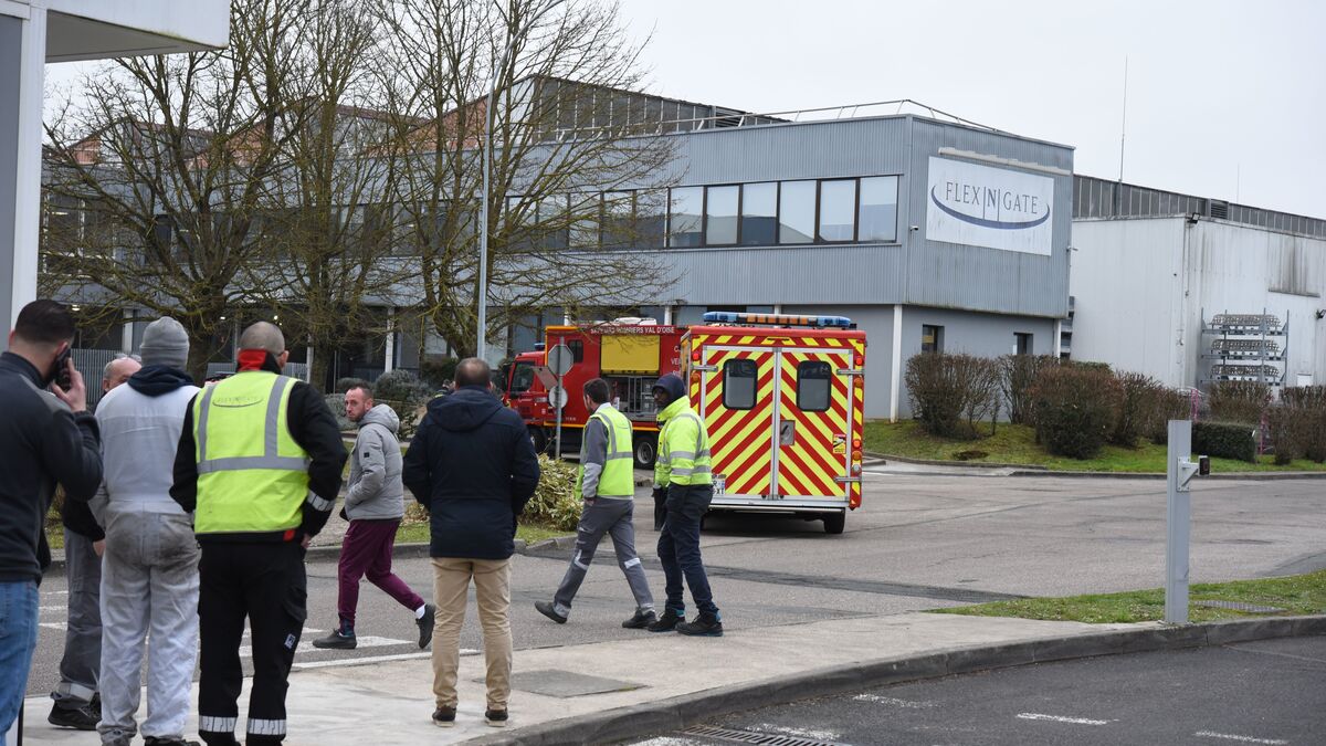 Vomissements, maux de tête : quatre employés d’une usine à Marines hospitalisés après la fuite de solvant