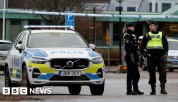 What do we know about the Sweden school shooter?