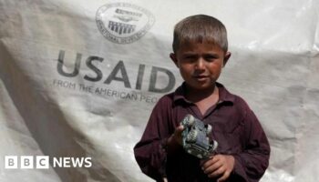 What is USAID and why is Trump reportedly poised to close it?