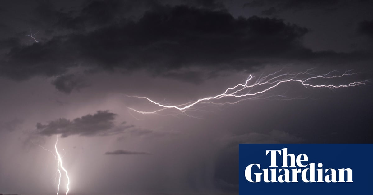 Woman dies after lightning bolt explodes tree in town near Sydney