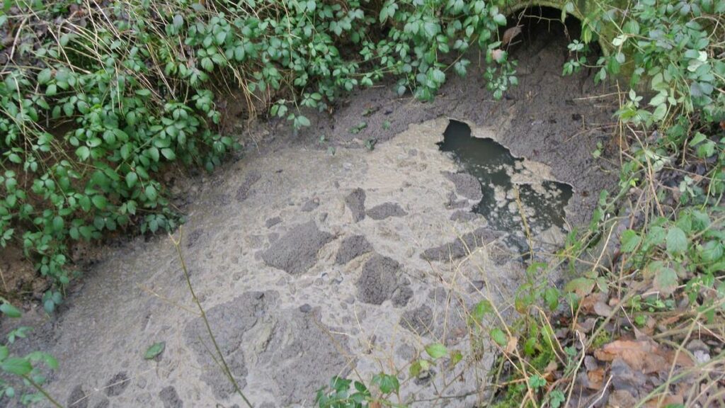 Yvelines : pollution chimique du Rhodon, promenade interdite sur les berges