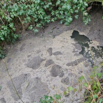 Yvelines : pollution chimique du Rhodon, promenade interdite sur les berges