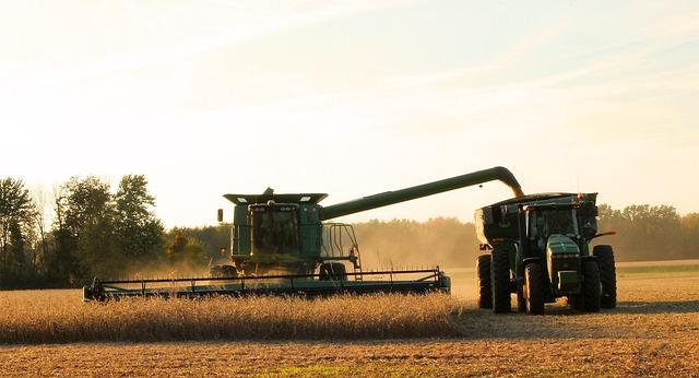 Brazils Soybean Boom ‍and the ‍Growing ‌Demand from China