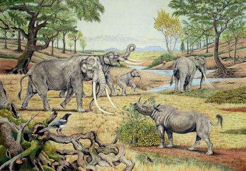 Implications for Understanding Prehistoric Ecosystems