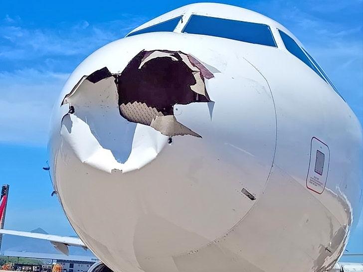 Bird Strike ‍Incidents on the Rise in Brazils Aviation Sector