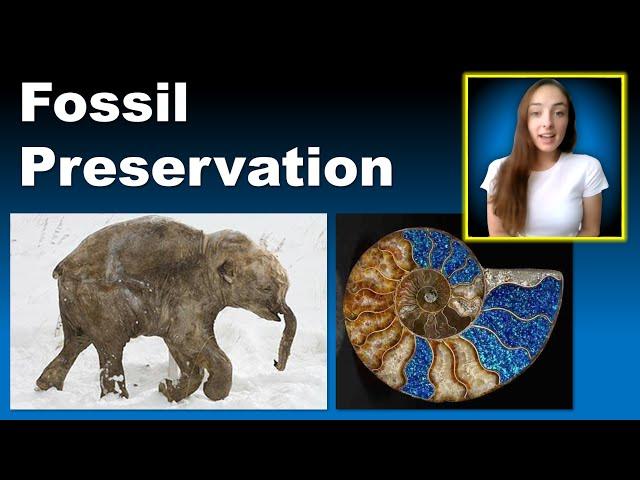 Preserving Fossil Sites: Recommendations for Future Discoveries