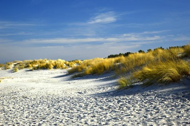 Exploring the Unique Coastal Cultures and Experiences in Key surf Markets