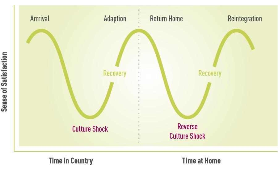 cultural Adaptation and the Reality of integration