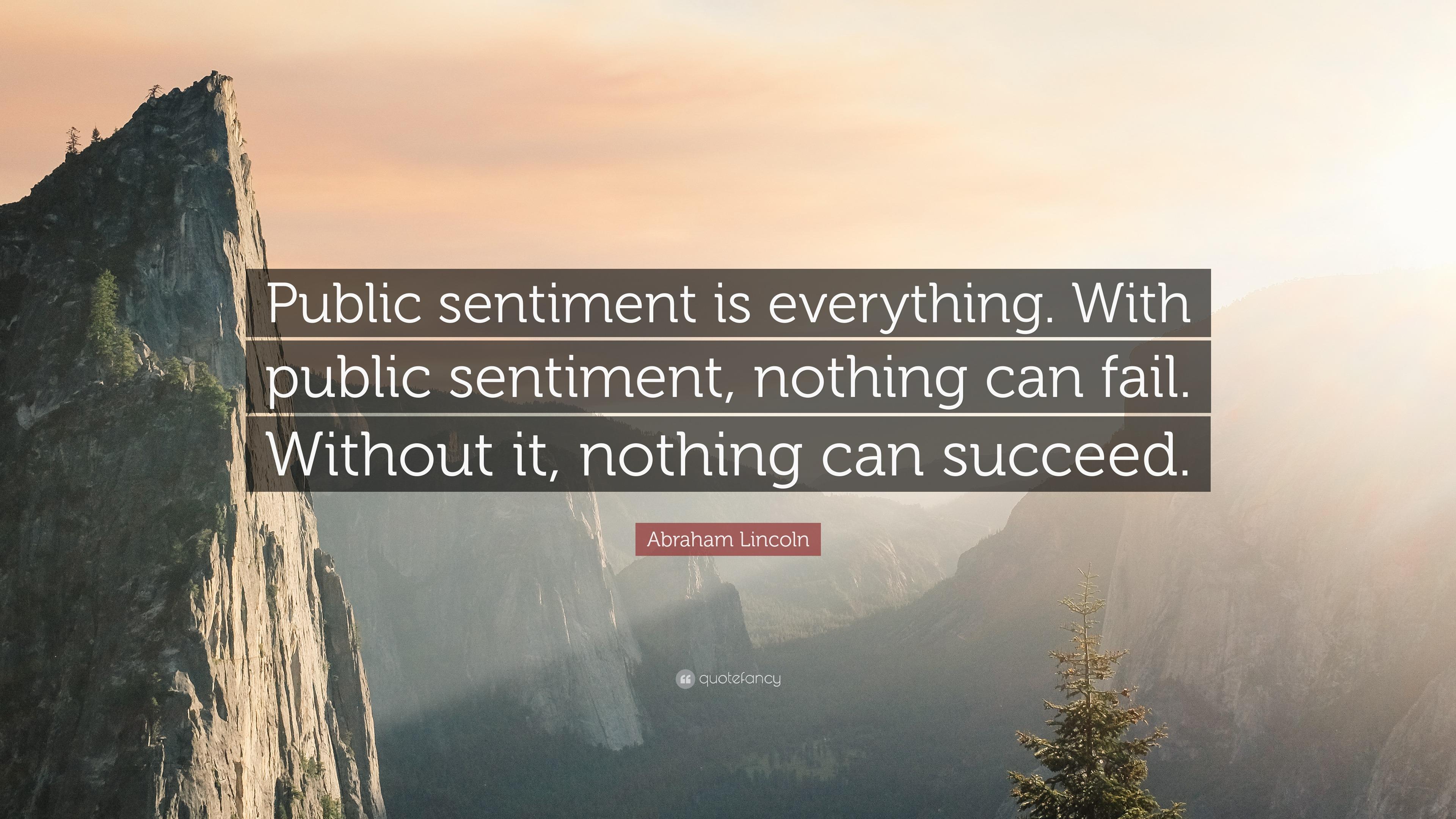 Assessment‌ of ⁤Public⁣ Sentiment and Political Pressure