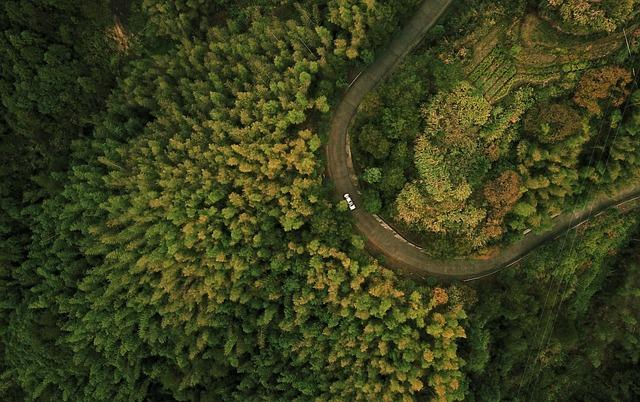 Japan’s KDDI tests drone delivery to remote mountain village – Nikkei Asia