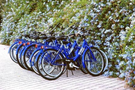 Japan’s Bike Rental Market for Tourism Poised for Explosive Growth – Projected to Reach $27.90 Million by 2033 with a 15.41% CAGR – Travel And Tour World