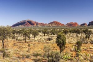 ‘Keep praying’: Family’s outback rescue – news.com.au